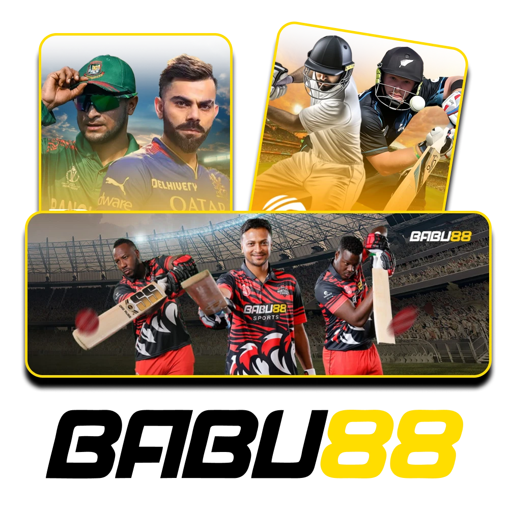 Choose cricket for sports betting at Babu88.