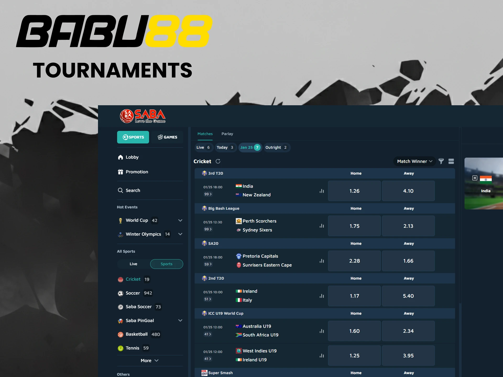 Choose your favorite cricket tournament to bet on at Babu88.