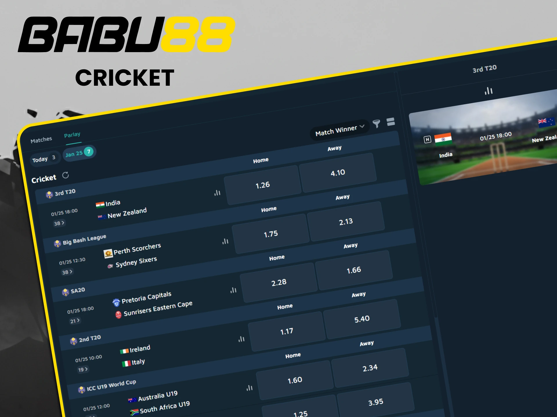 Cricket is ideal for betting on Babu88.